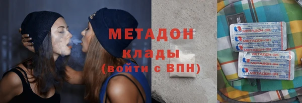 индика Нея
