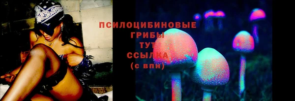 PSILOCYBIN Армянск