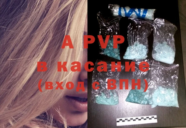 индика Нея