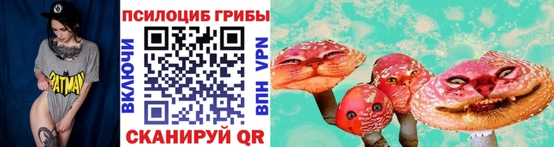 Псилоцибиновые грибы Cubensis  где можно купить   Мураши 