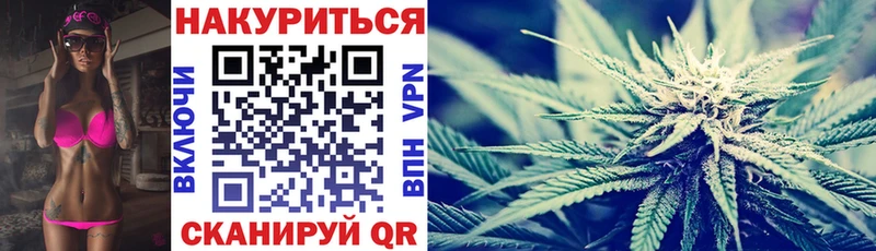 Бошки Шишки сатива  Мураши 